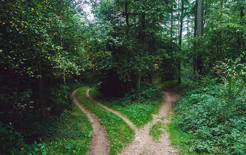One Surefire Way to *Know* Your Enneagram Type
